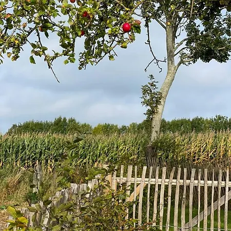 „luette Stuuv“ - Hof Muehlenkoppel Hasselberg (Schleswig-Holstein)